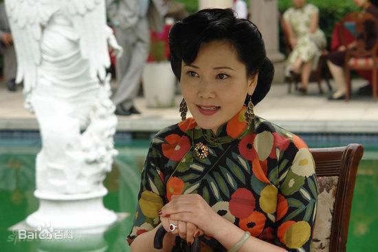 何赛飞(Caifei He)参演电视剧作品(1997-2010)图片图集