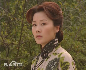 何赛飞(Caifei He)参演电视剧作品(1997-2010)图片图集