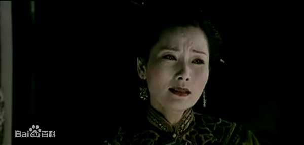 何赛飞(Caifei He)参演电视剧作品(1997-2010)图片图集