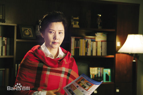 何赛飞(Caifei He)参演电视剧作品(1997-2010)图片图集