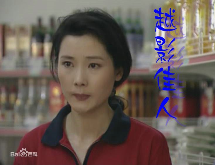 何赛飞(Caifei He)参演电视剧作品(1997-2010)图片图集