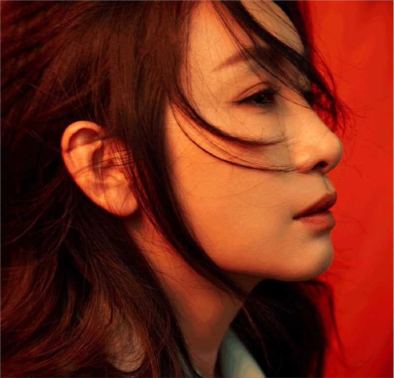 特别专辑复古成熟美女秦海璐香艳梦幻贵妇时尚图片图片