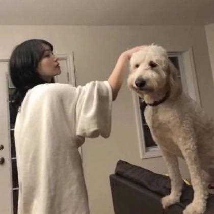 特别专辑清纯小美女气质唯美极品非主流图片