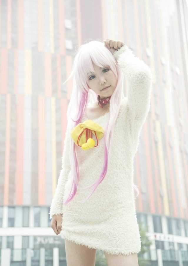 特别专辑螺旋猫《K》猫cosplay图片