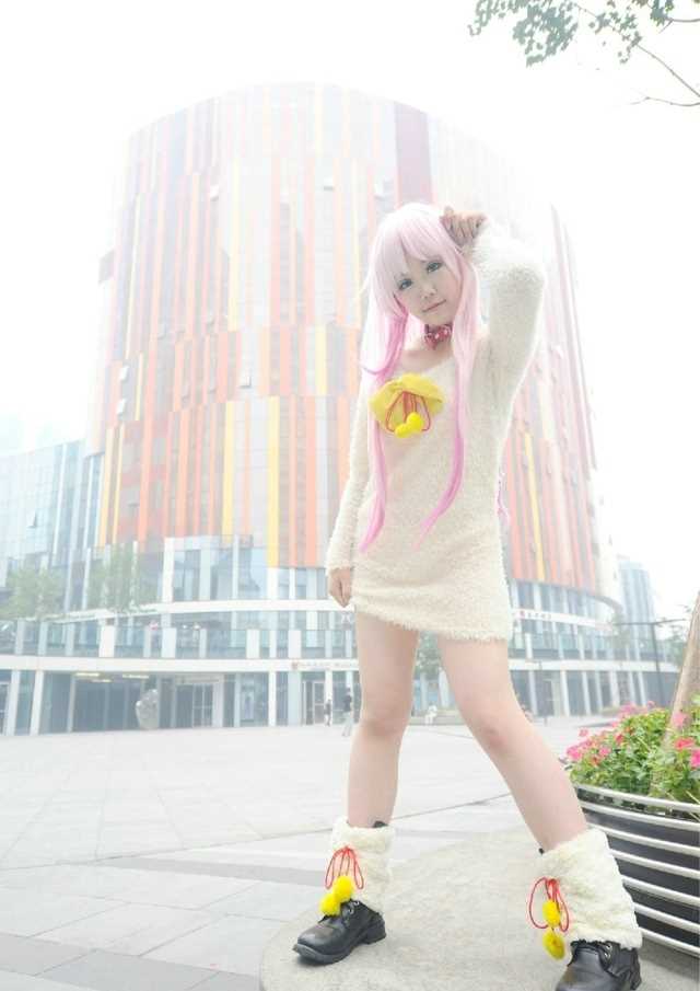 特别专辑螺旋猫《K》猫cosplay图片