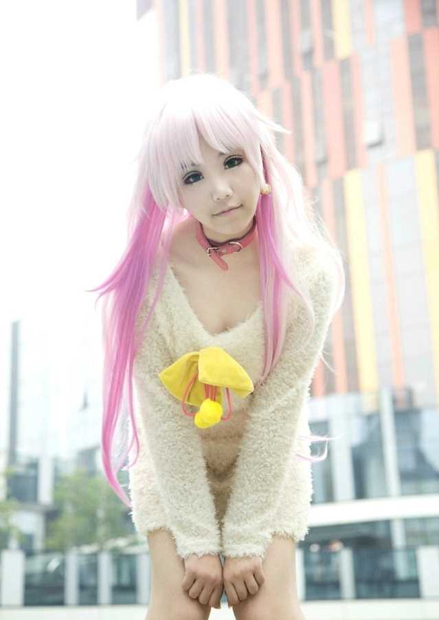 特别专辑螺旋猫《K》猫cosplay图片