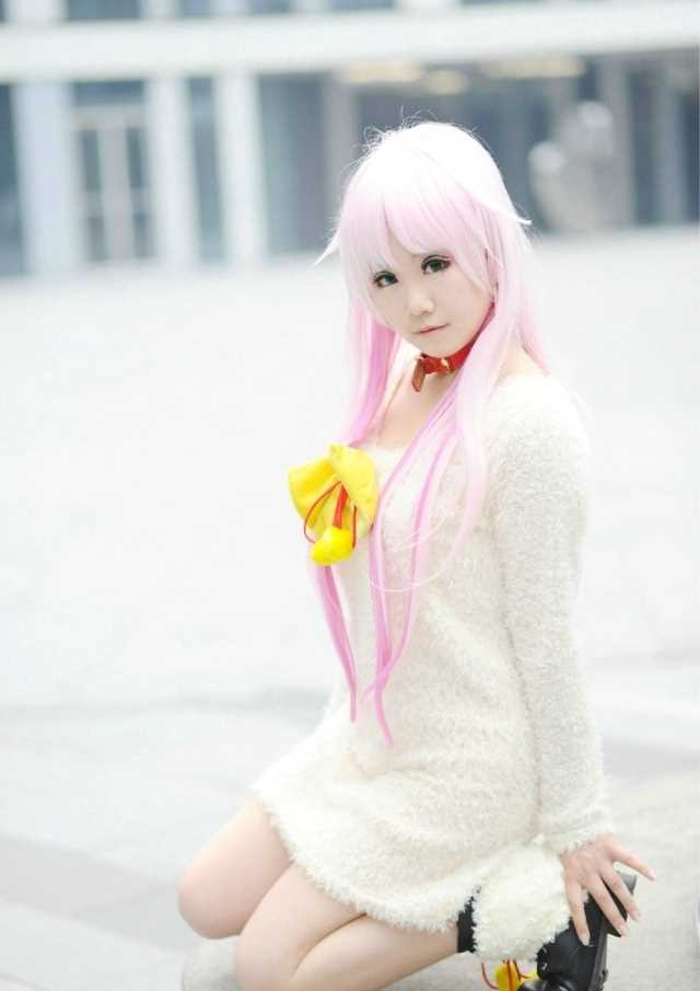 特别专辑螺旋猫《K》猫cosplay图片