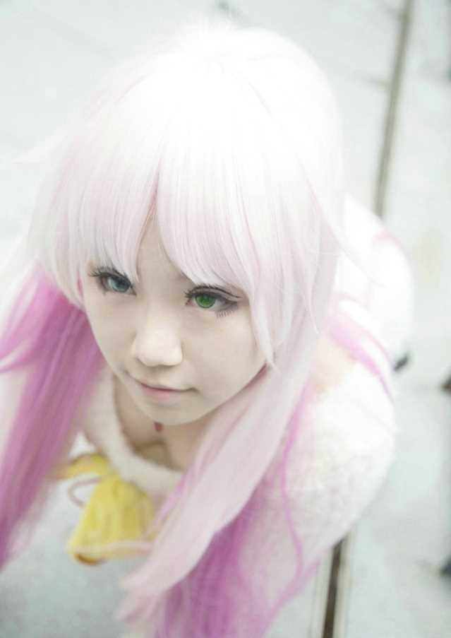 特别专辑螺旋猫《K》猫cosplay图片