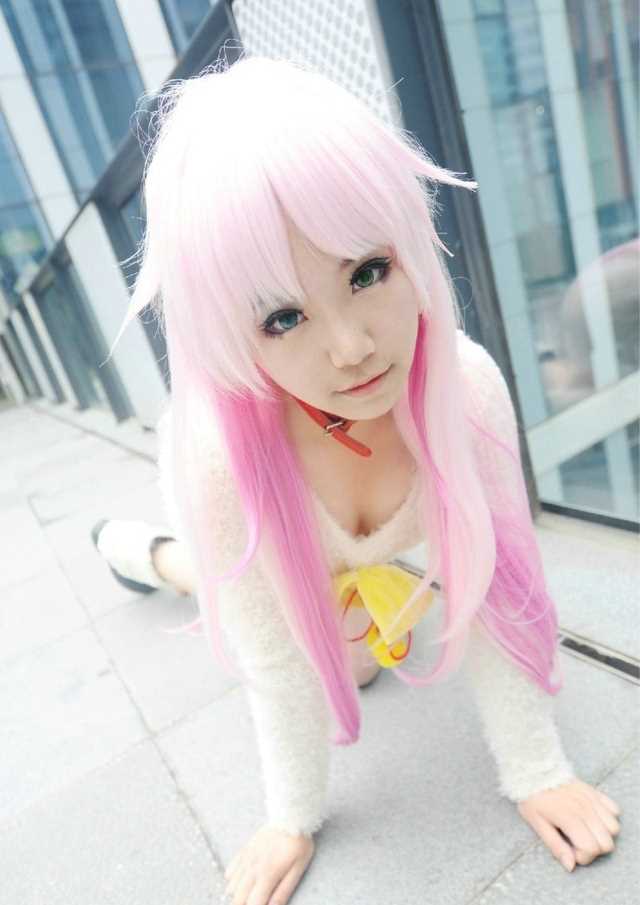 特别专辑螺旋猫《K》猫cosplay图片