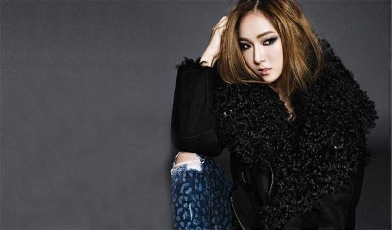 精选韩国甜美姐妹花郑秀妍郑秀晶时尚黑白图册