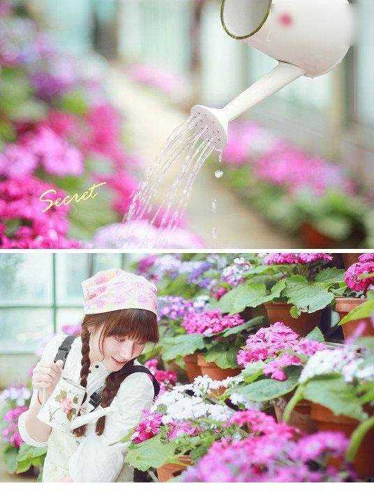 最新篮球宝贝孙峥性感比基尼诱惑壁纸