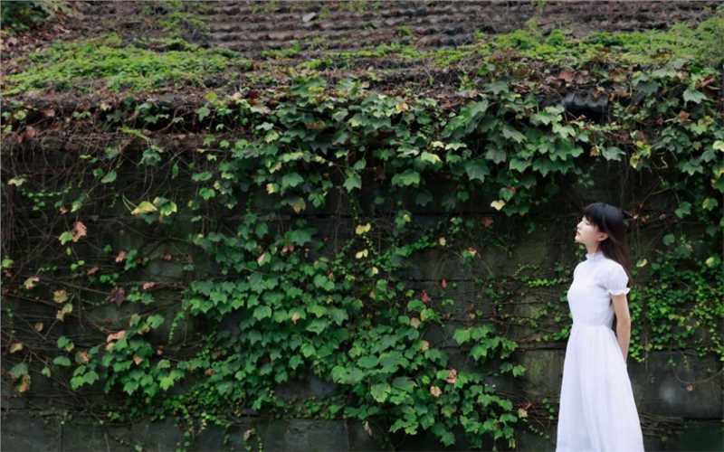 高清仙气清纯白裙美少女森女系街拍集图集