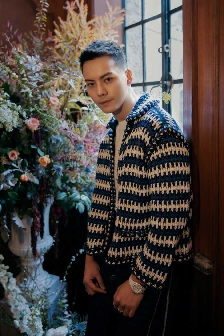 高清陈伟霆时尚感设计针织外套帅气高清图片图册