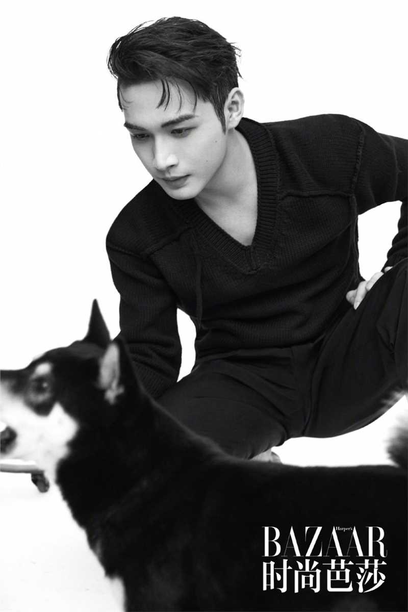 最新张彬彬时尚芭莎魅力壁纸