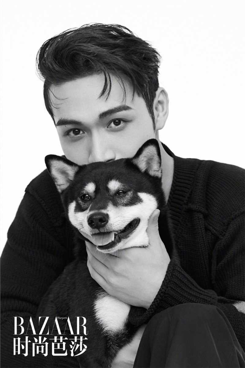 最新张彬彬时尚芭莎魅力壁纸