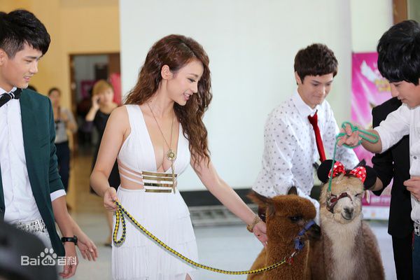 精选柳岩(Ada)精彩图册2