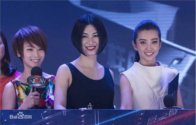 高清李冰冰(Li Bingbing)精彩图册