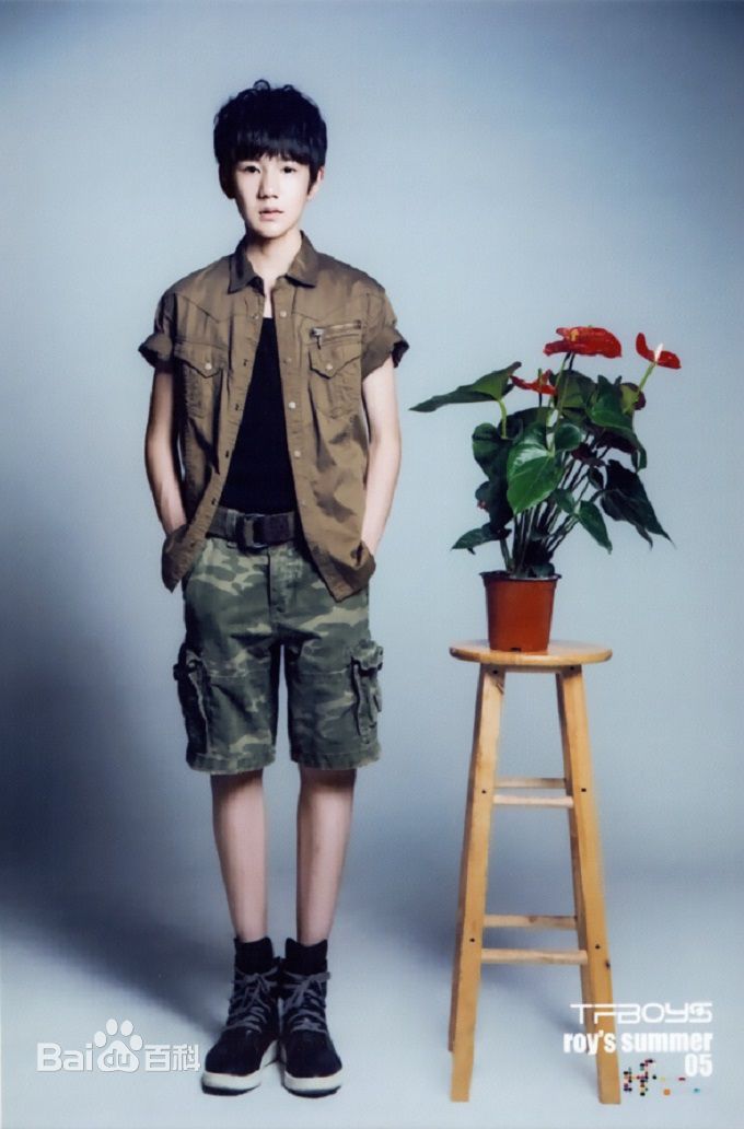王源(Roy)最全2014夏日官方壁纸