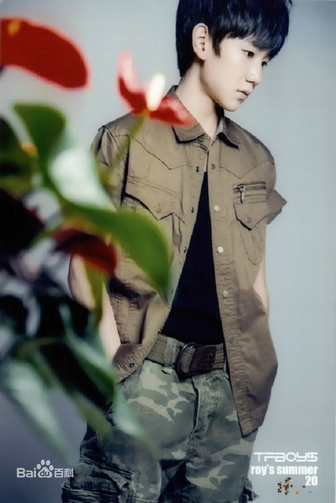 王源(Roy)最全2014夏日官方壁纸