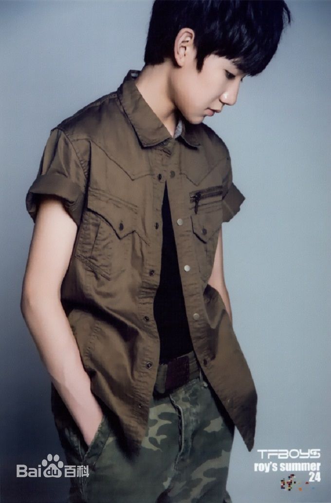王源(Roy)最全2014夏日官方壁纸