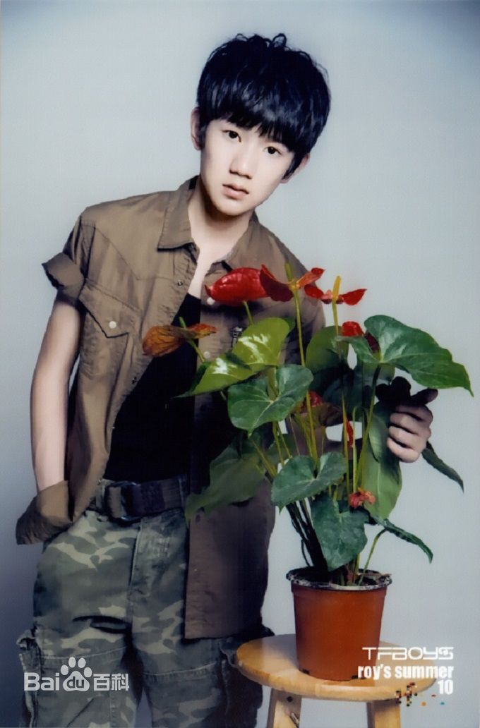 王源(Roy)最全2014夏日官方壁纸