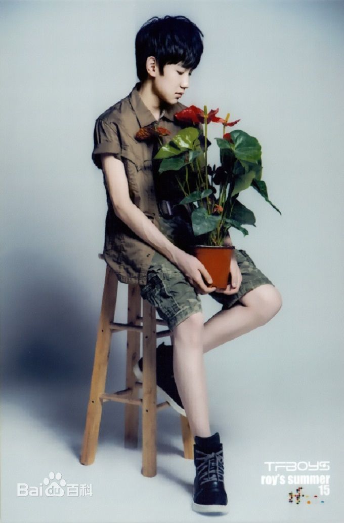 王源(Roy)最全2014夏日官方壁纸