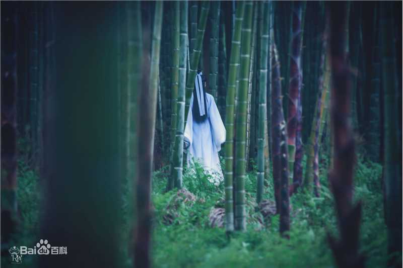 王源(Roy)青云志(饰演少年张小凡)图册