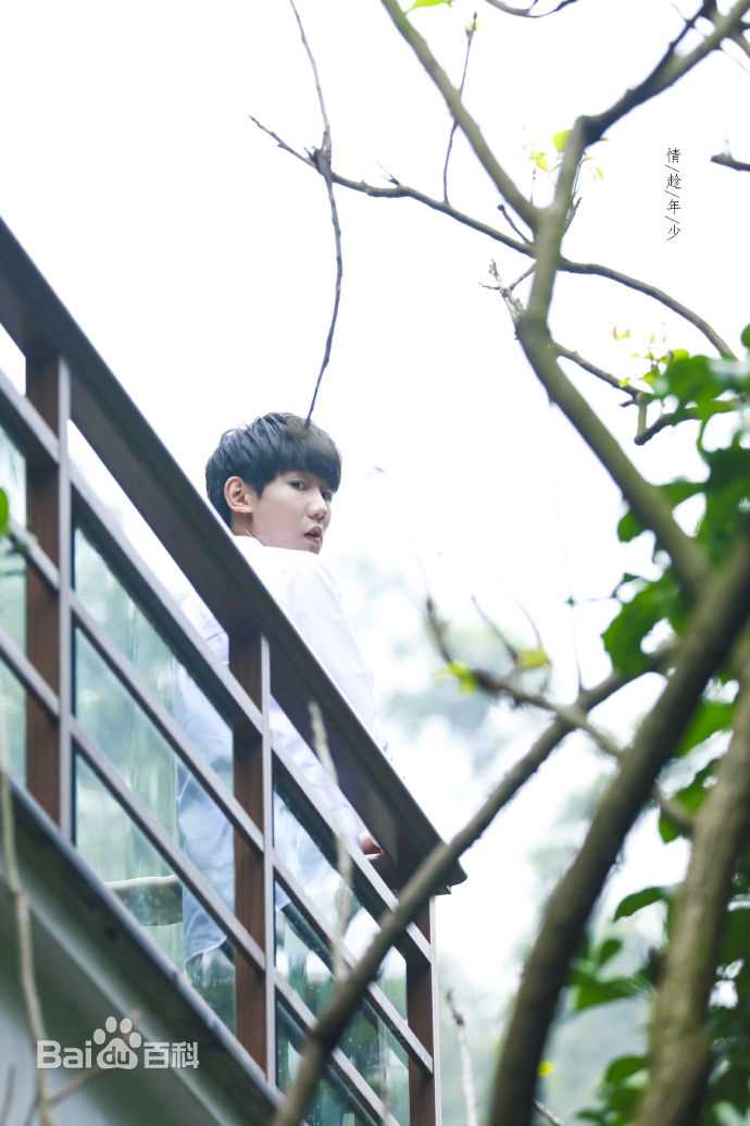王源(Roy)超少年密码(饰演隋玉&002)壁纸壁纸