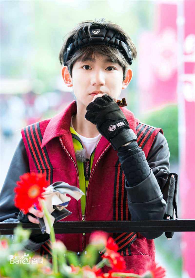 王源(Roy)综艺全员加速中素颜照壁纸