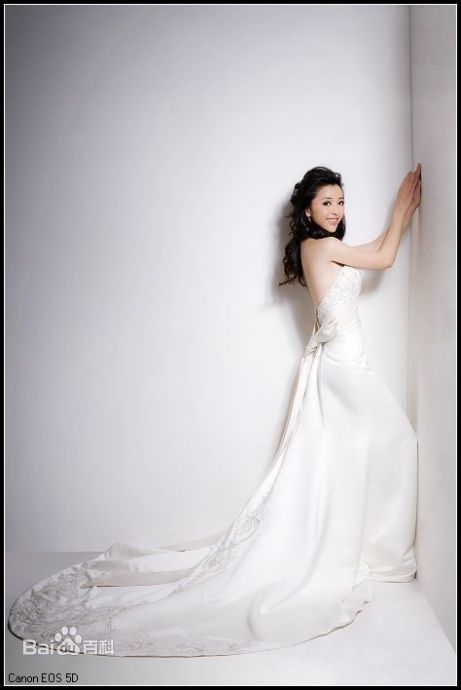 黄小蕾(Huang Xiaolei)婚纱照性感图片图集