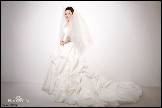 黄小蕾(Huang Xiaolei)婚纱照性感图片图集