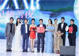 杨颖(Angelababy)芭莎慈善夜拍卖会图册