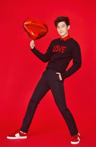 最新董力在《梦中情人》中的图集