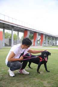 宫宏佳精选图册