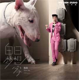 最新魏晨(Vision Wei)在2015专辑《白日梦想家》中的壁纸