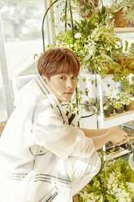 马天宇(Ray Ma)手花素颜照相册