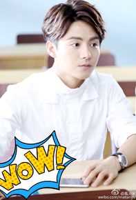 最新马天宇(Ray Ma)在《幻城》手游代言中的图集