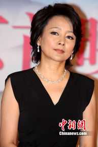 出席《庐山恋2010》首映式