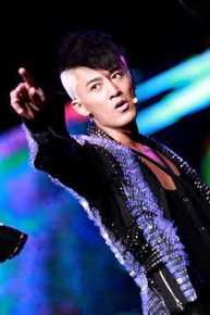 林峯/林峰(LAM Raymond)2010年林峰红馆个人演唱会性感图片图集