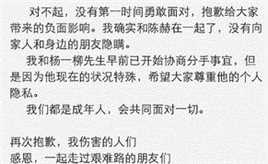 声明和离婚手续