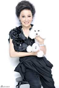 最新邬倩倩壁纸