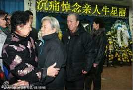 精选金雅琴精彩图册