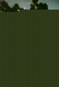 高清应晓薇(ANGELA)性感图片