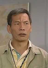 最全王青(Wong Ching)壁纸