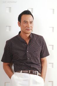 精选任达华(Simon Yam或Yam Tat-wah)