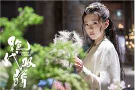 最优质梁洁在《绝代双骄》饰苏樱中的相册