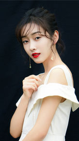 宣璐概述图册图册