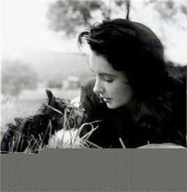 伊丽莎白·泰勒(Elizabeth Taylor)精彩图册1
