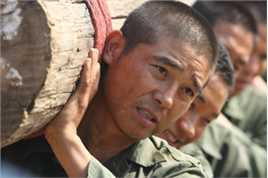 任昌丁(Chang-Jung Lim)最全剧照