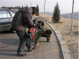 最新朱定忠壁纸